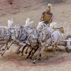 Colosseum History and the Gladiators