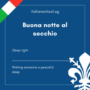 Italian Idiom of the Day! – Buona notte al secchio