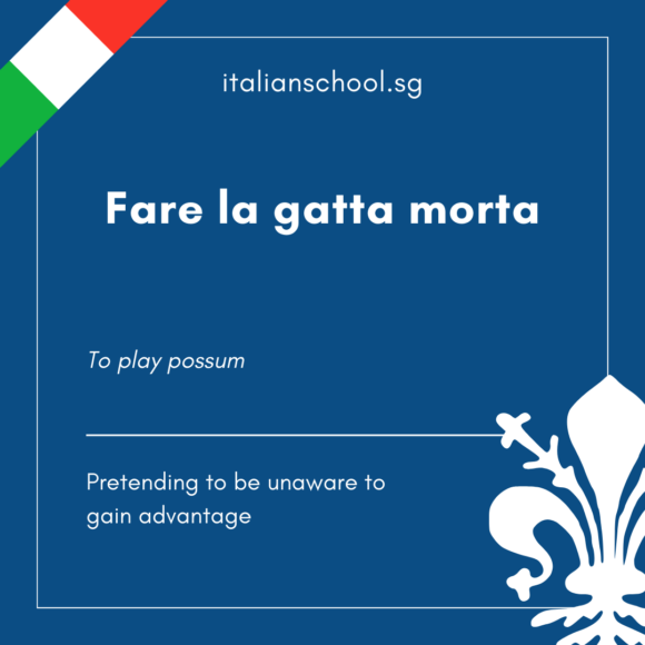 Italian Idiom of the Day! – Fare la gatta morta