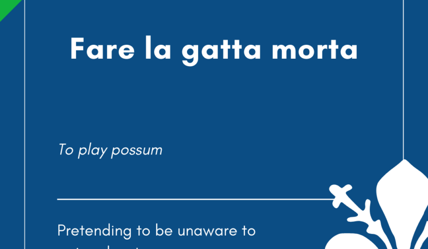 Italian Idiom of the Day! – Fare la gatta morta