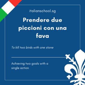 Italian Idiom of the Day! – Fare una pietra di due piccioni