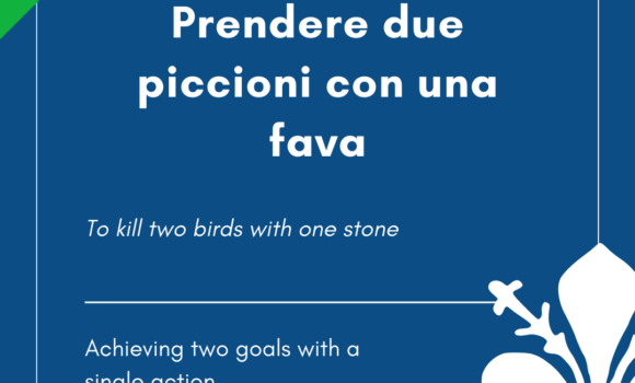 Italian Idiom of the Day! – Fare una pietra di due piccioni