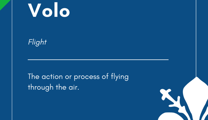 Italian Word of the Day! – Volo