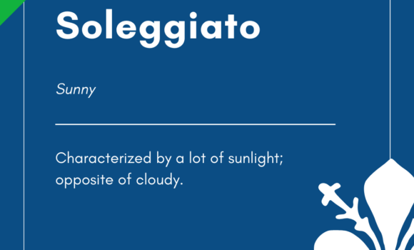 Italian Word of the Day! – Soleggiato